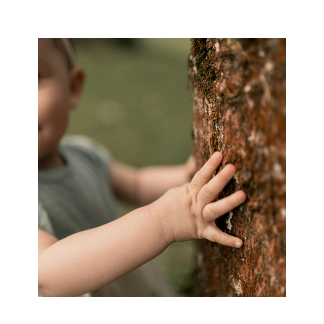Eveil &agrave; la nature pour les tout- petits