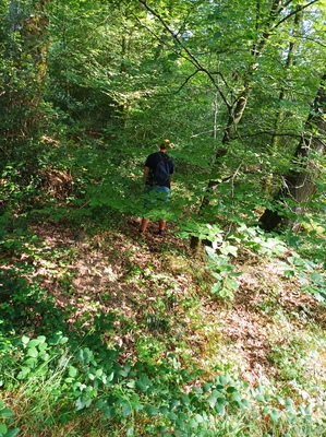 Bain de nature et de verdure (bois, bord de mer et for&ecirc;t)