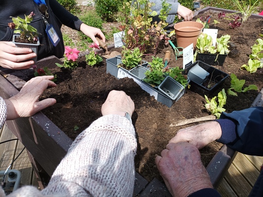 Ateliers de jardin &agrave; vis&eacute;e th&eacute;rapeutique, de soin et de sant&eacute; et m&eacute;diation v&eacute;g&eacute;tale (hortith&eacute;rapie)